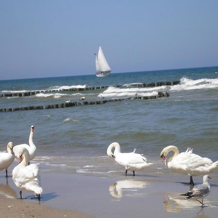 Pensjonat Koga Kołobrzeg Esterno foto